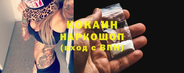 сатива Козельск