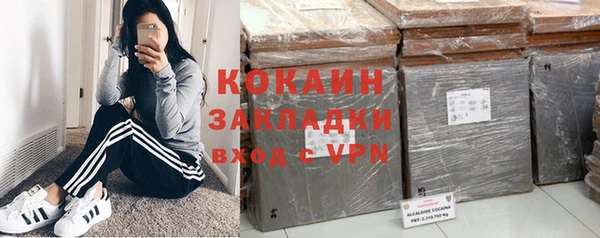 сатива Козельск