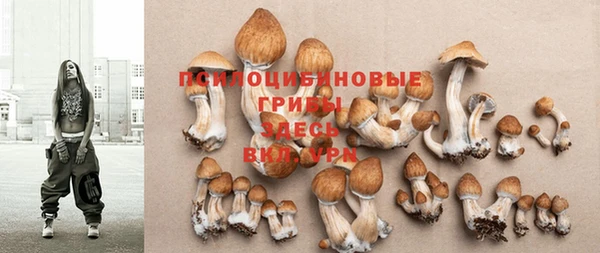 герыч Козловка