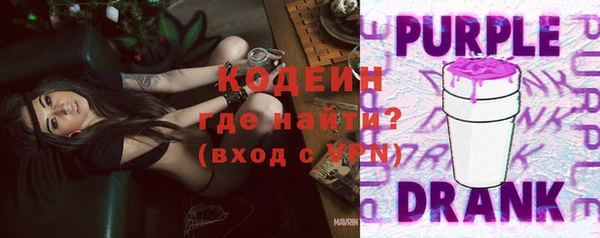 сатива Козельск